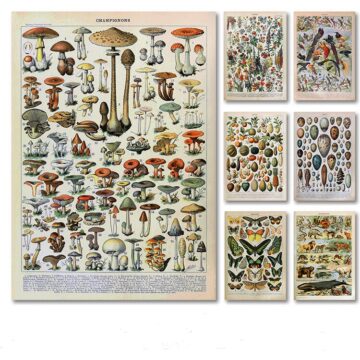 Butterfly Mushrooms Canvas Painting Wall Art